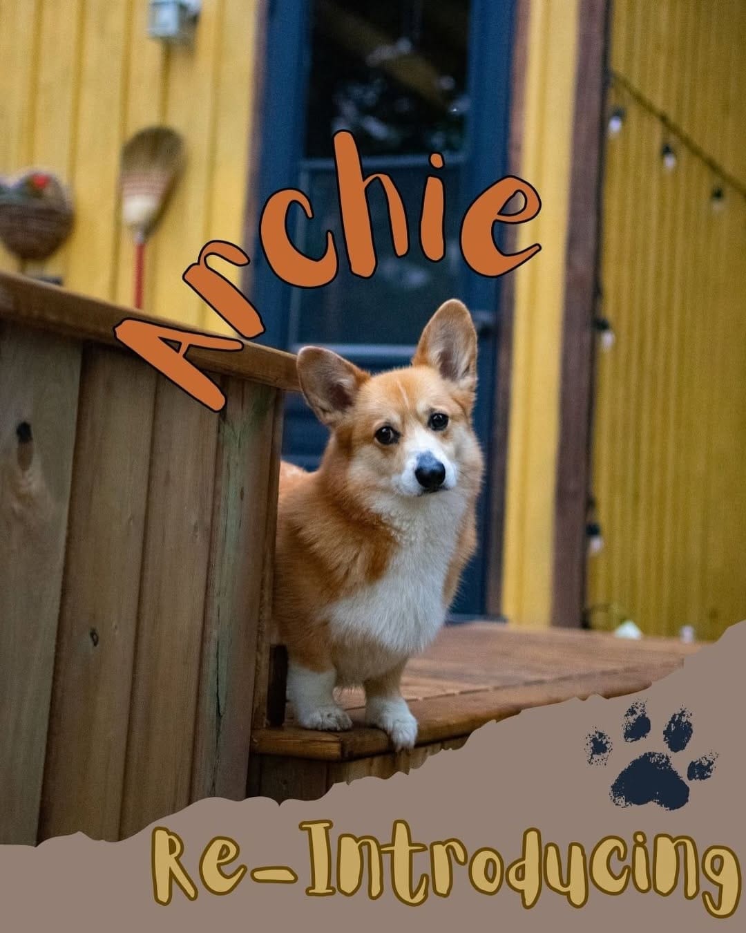 Post 7 by Archie the Corgi 🇨🇦 Dog Friendly Adventures on Instagram (carousel)