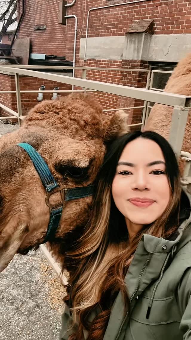 Post 5 by Lore Guzmán | LifeStyle • Toronto • Content Creator on Instagram (video)