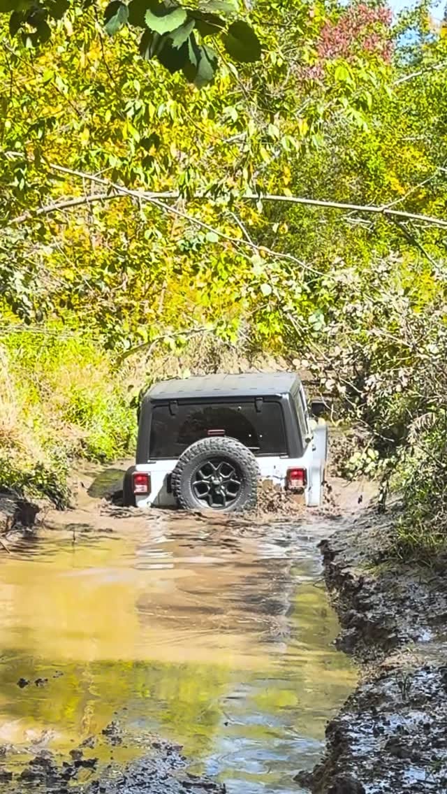 Post 2 by Kamand Tourism INC on Instagram (video)