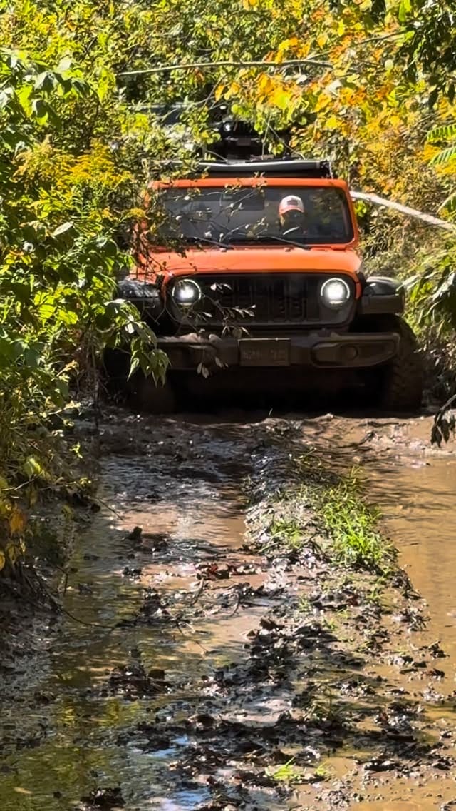 Post 6 by Kamand Tourism INC on Instagram (video)