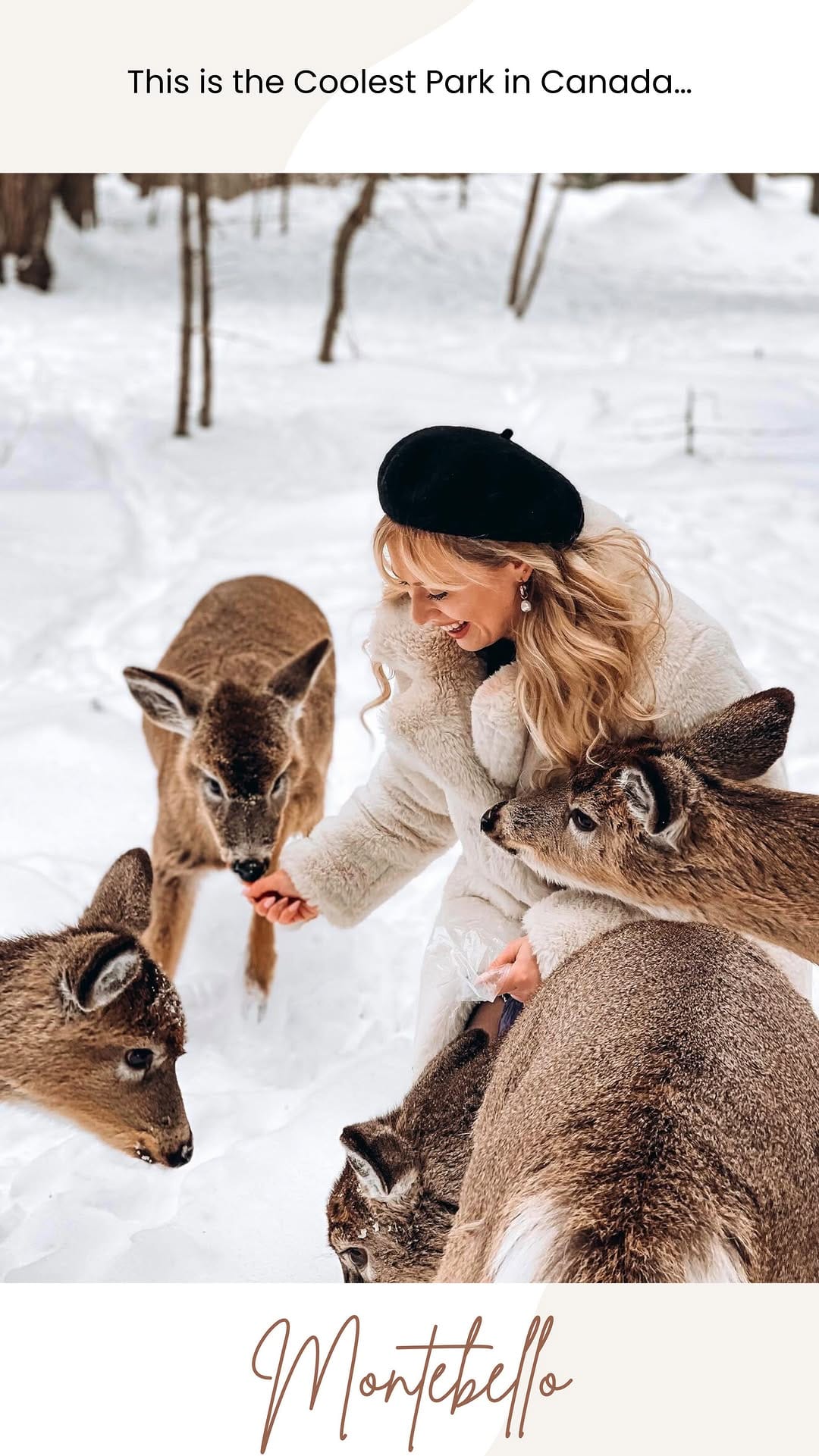 Post 8 by Kirsten Wendlandt on Instagram (video)