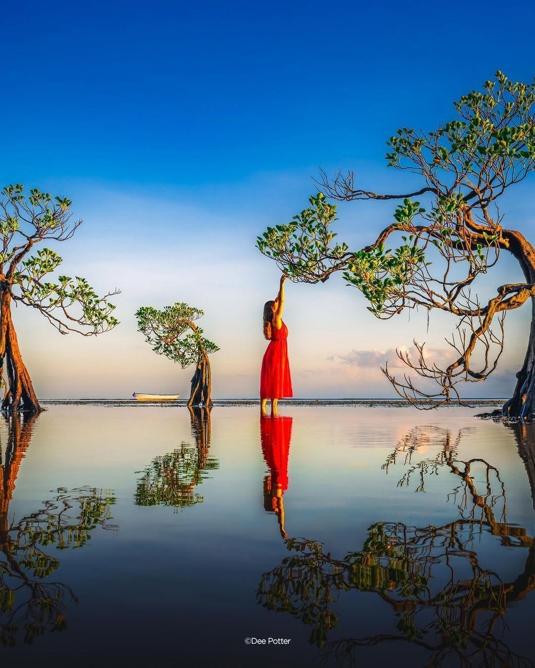 Post 1 by Dee Lee Potter on Instagram (image)
