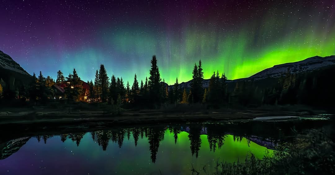Post 5 by Dee Lee Potter on Instagram (image)