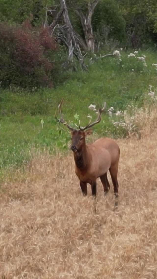 Post 10 by Andy Nemo Winder on Instagram (video)
