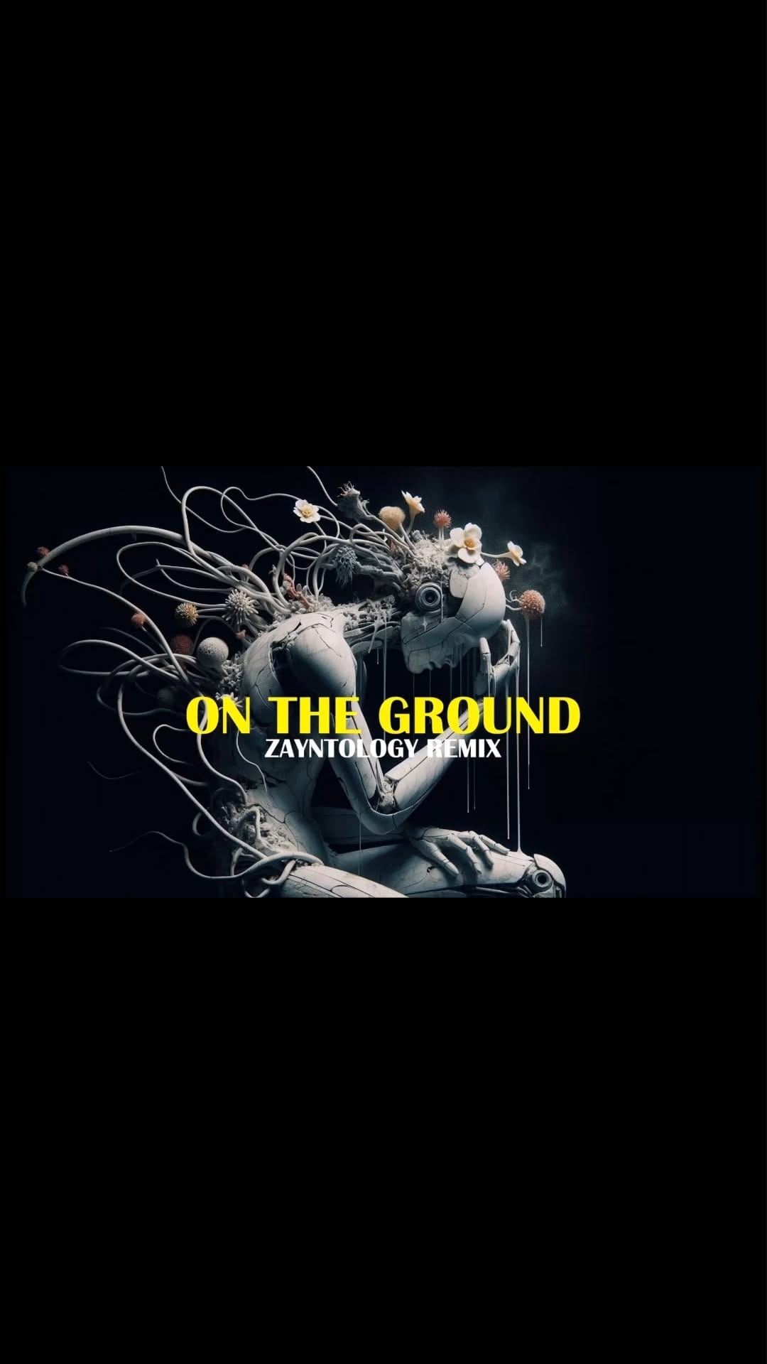 Post 2 by Niemand on Instagram (video)