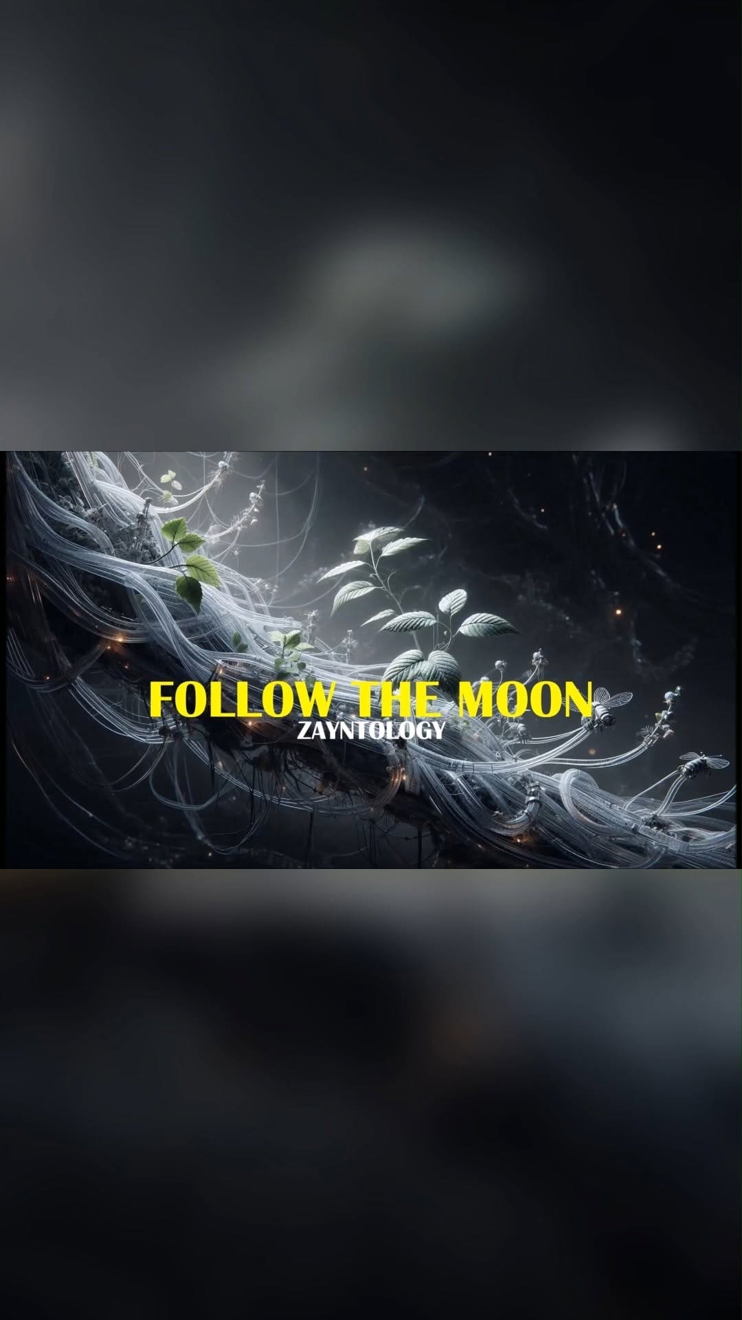 Post 5 by Niemand on Instagram (video)