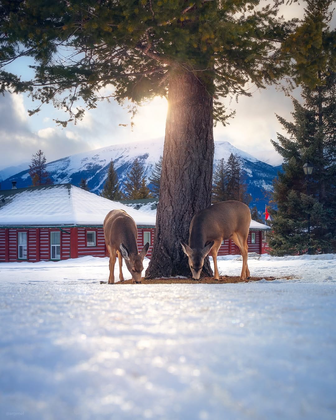 Post 7 by Argen Elezi on Instagram (carousel)