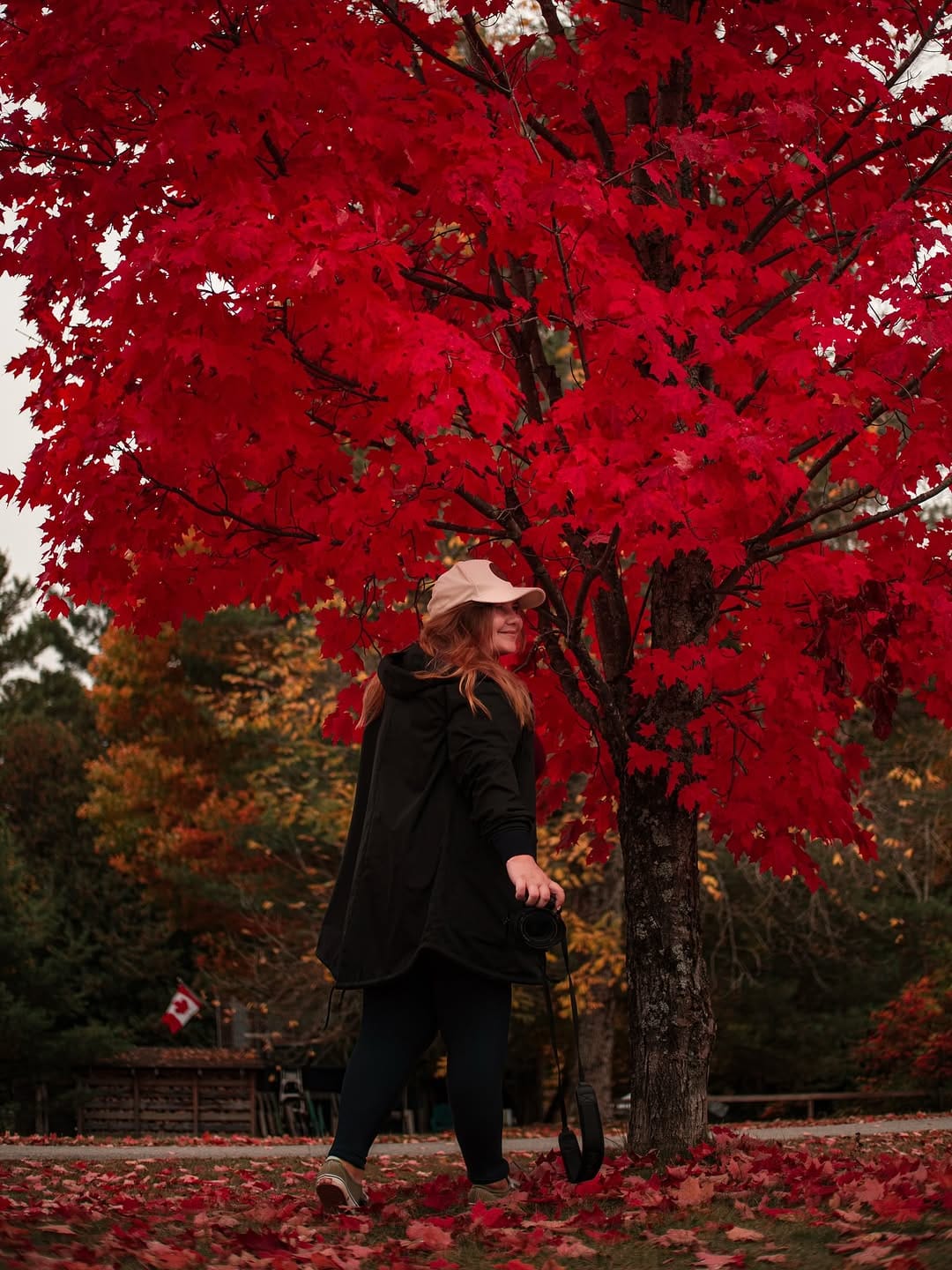 Post 5 by Veronica ✨ Adventure Travel Photographer on Instagram (carousel)