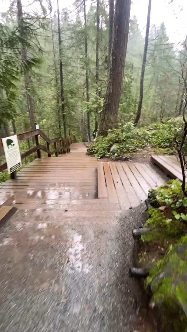 Post 3 by Themaplecompass on Instagram (video)
