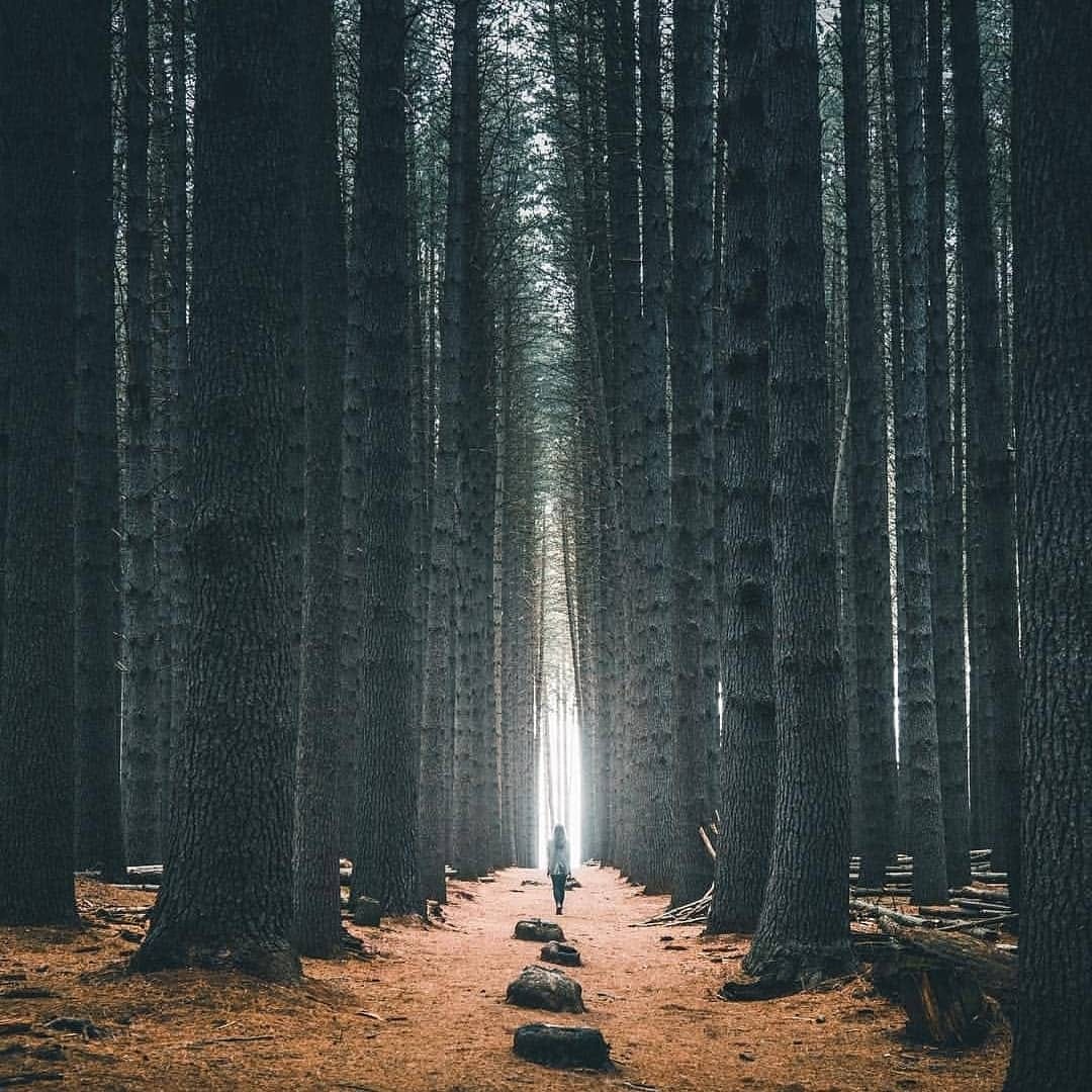 Post 1 by Styrman & Crew on Instagram (image)