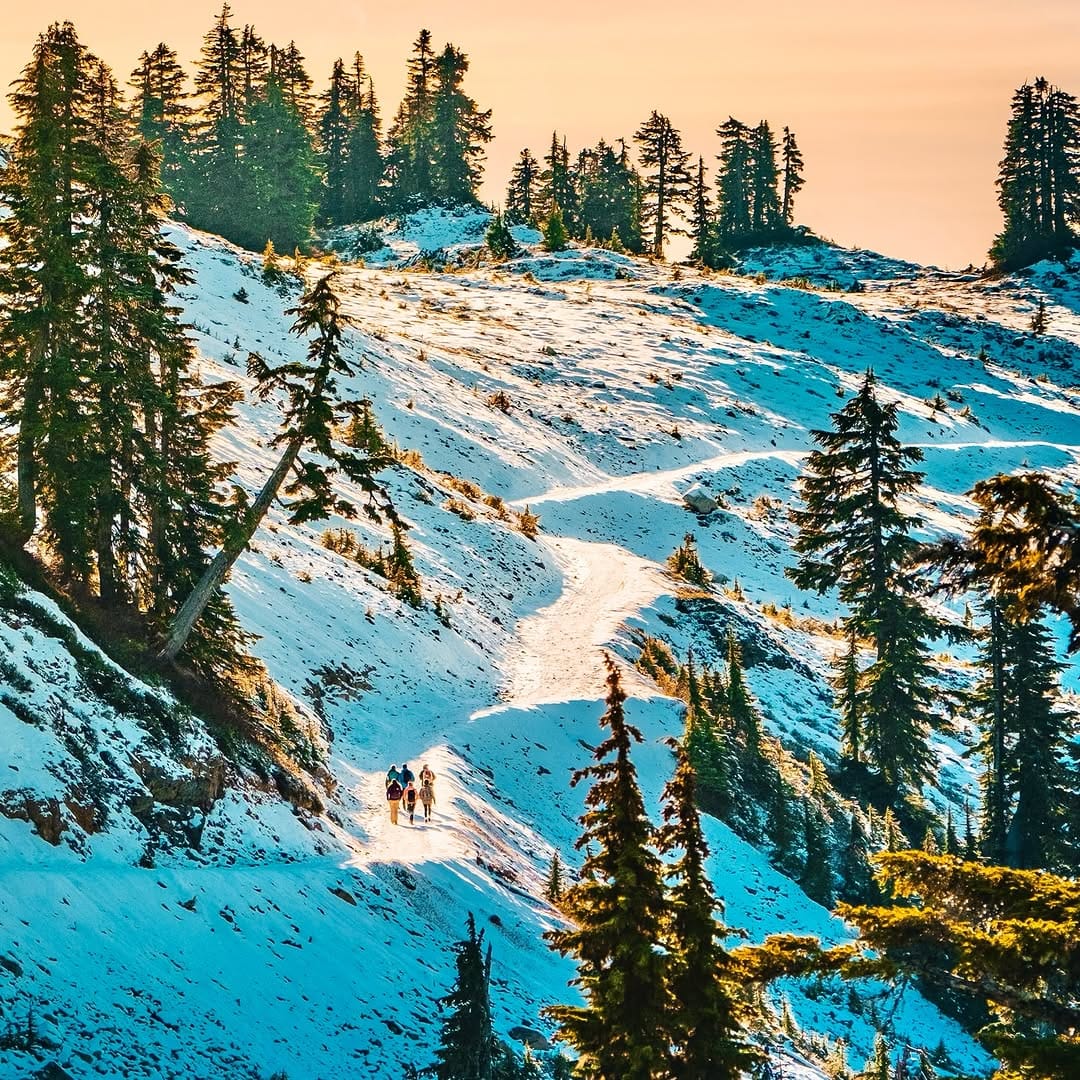 Post 9 by Matt Wild on Instagram (image)