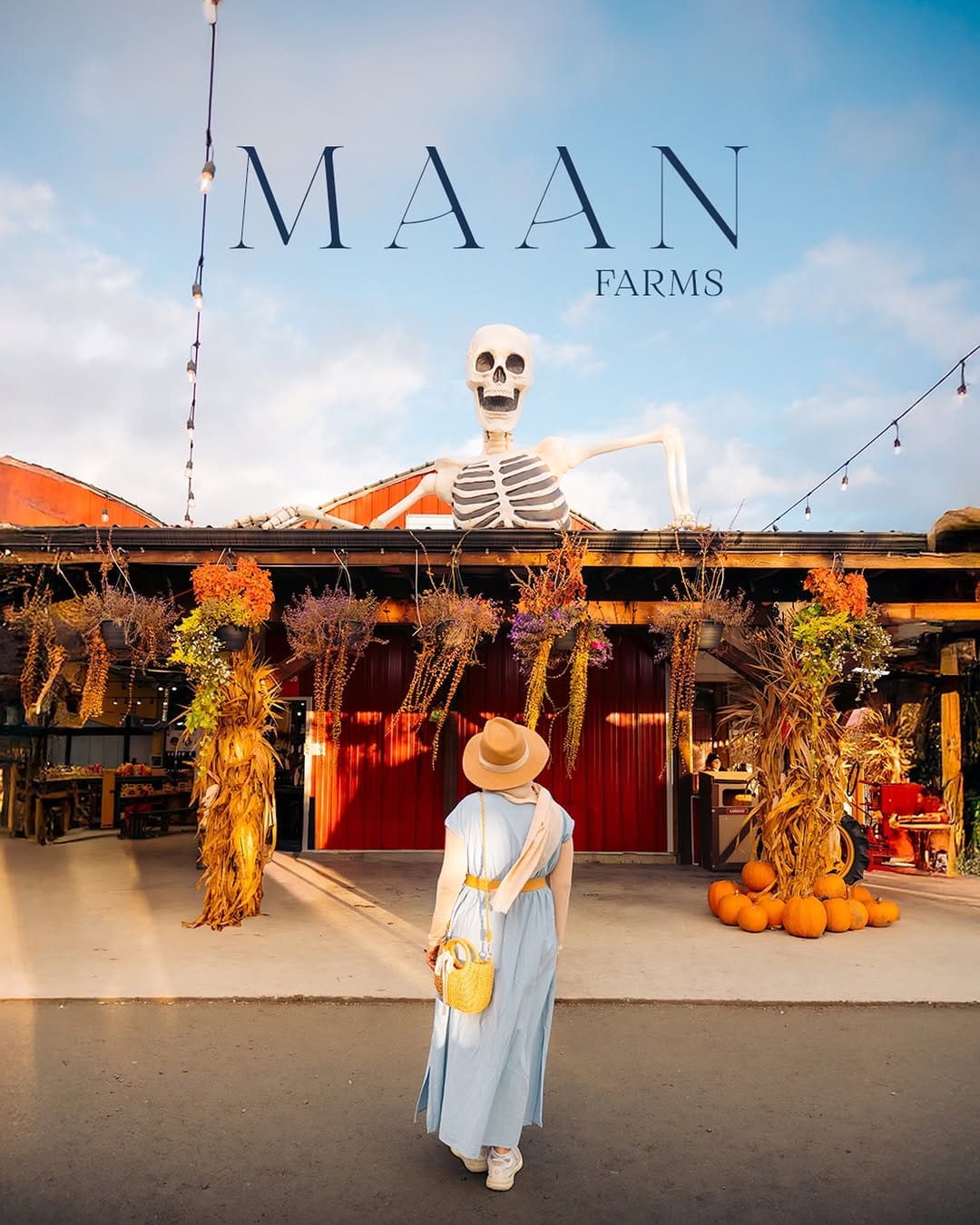 Post 3 by H A M I D on Instagram (carousel)