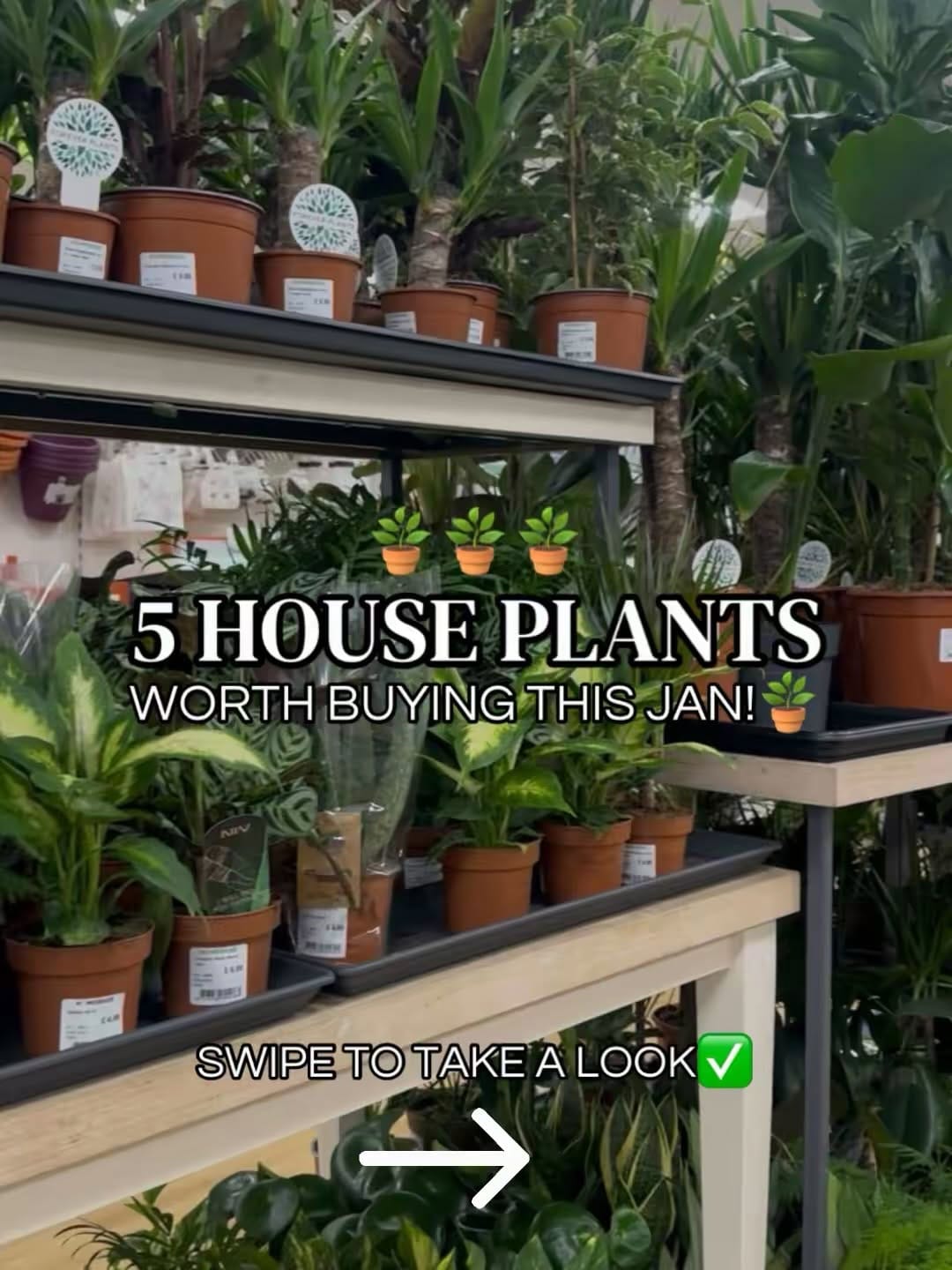 Post 1 by Homebase on Instagram (carousel)
