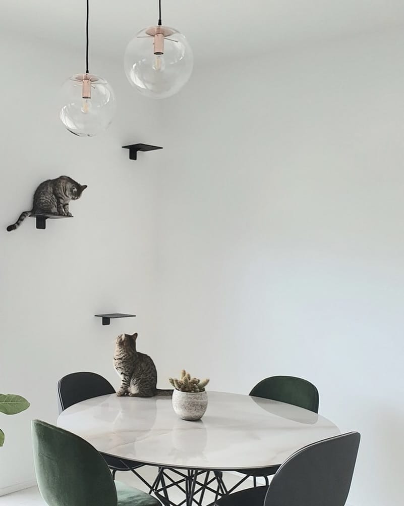 Post 10 by Natural Goods Berlin on Instagram (image)