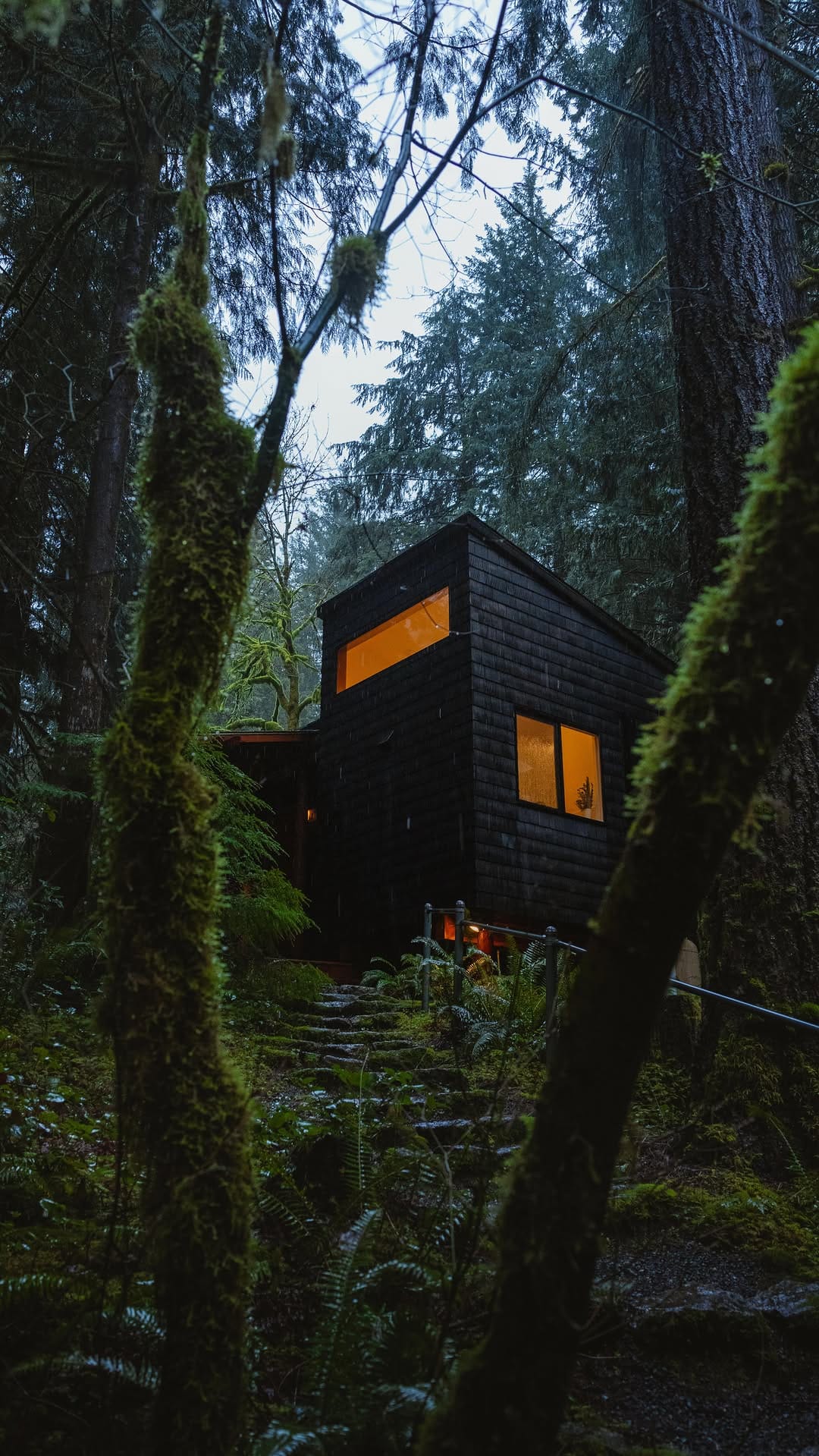 Post 9 by Brendin Kelly on Instagram (video)