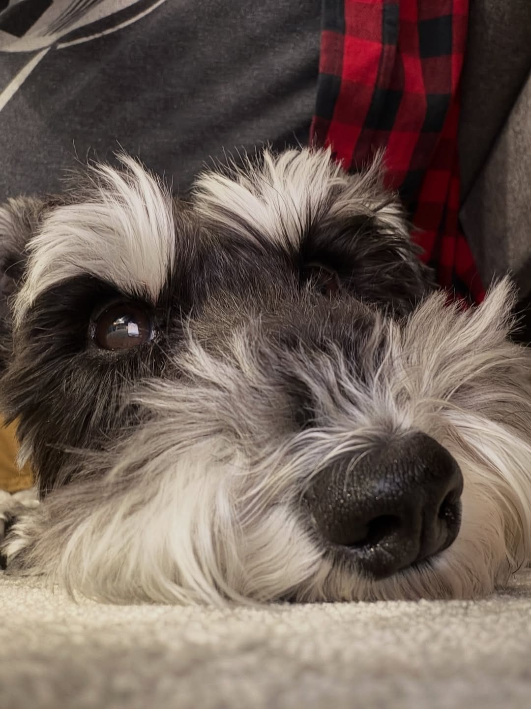 Post 3 by Buzz Bishop on Instagram (image)