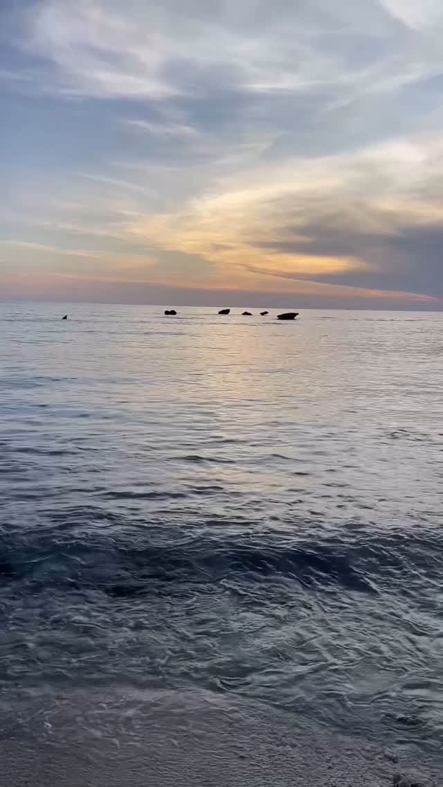 Post 8 by Karolane D. Virtue on Instagram (video)