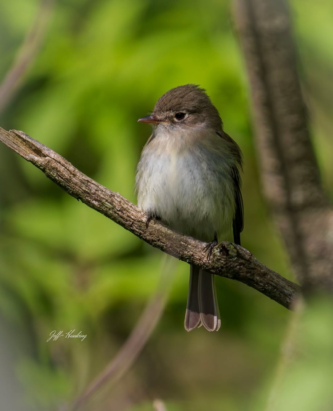 Post 7 by Jeff Hunking on Instagram (image)