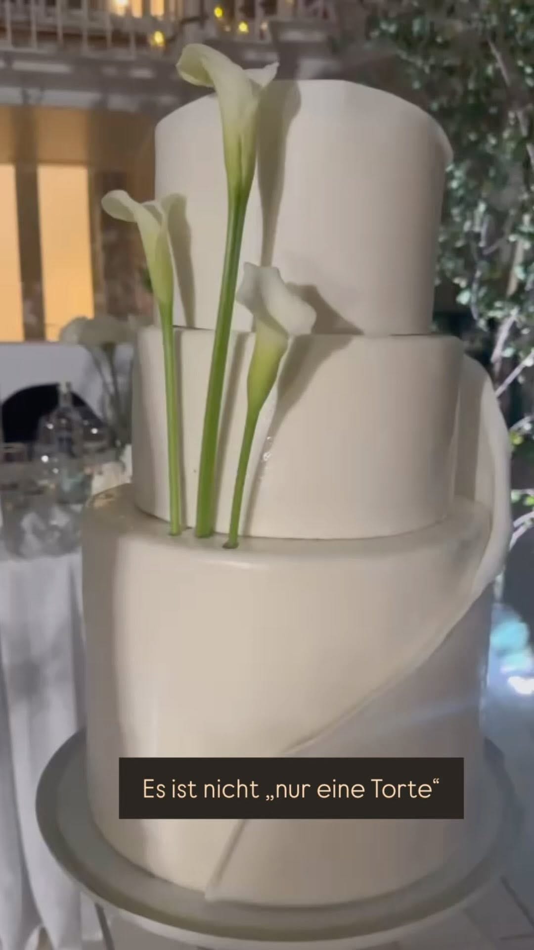Post 10 by Victoria Wieck on Instagram (video)