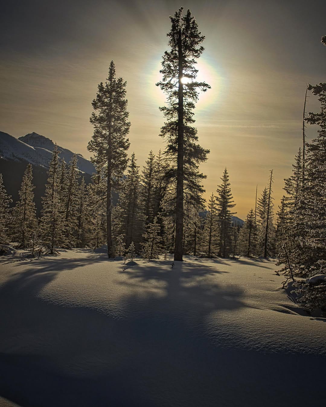 Post 2 by dave micheal Landage on Instagram (image)