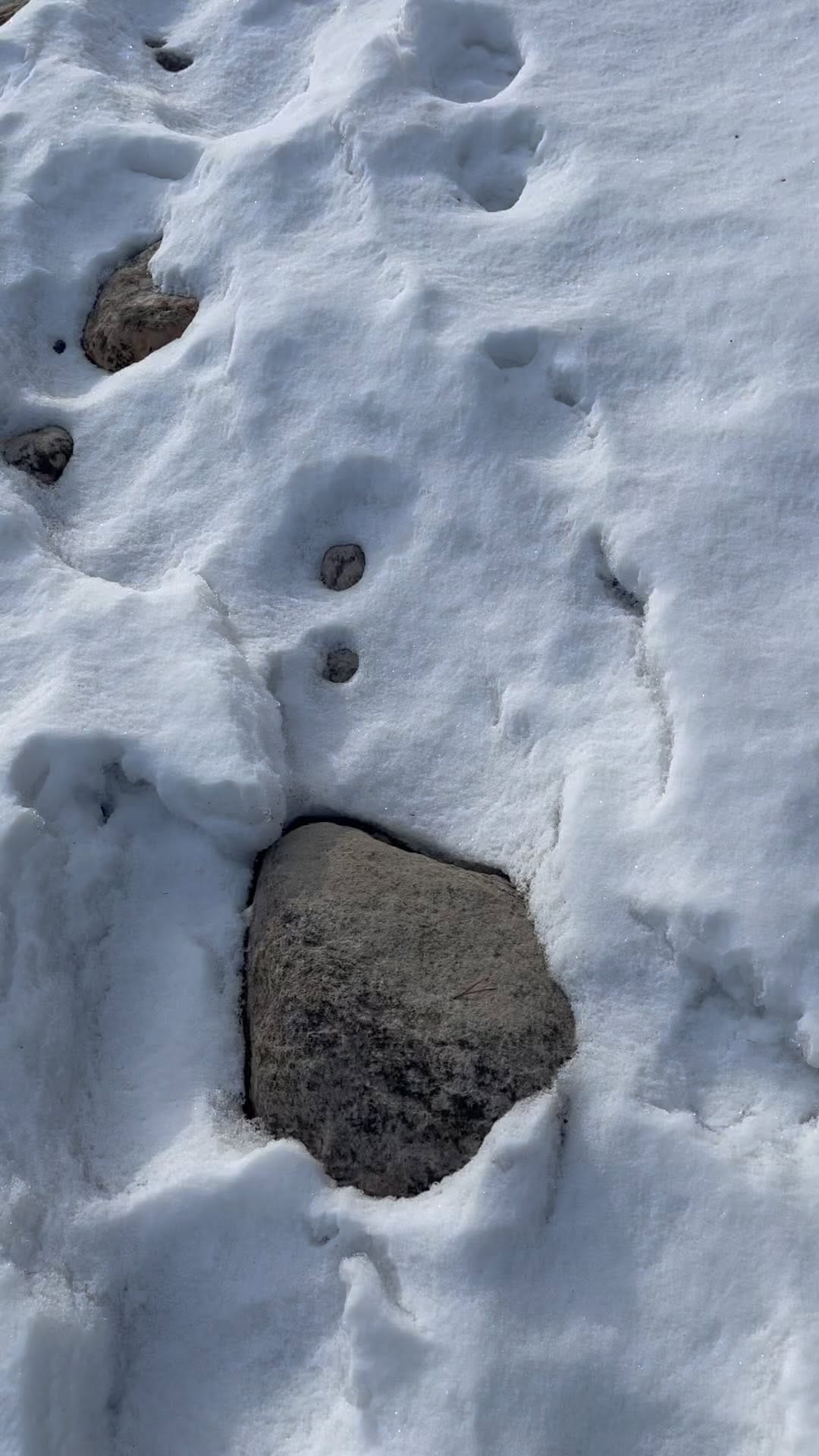 Post 7 by dave micheal Landage on Instagram (video)