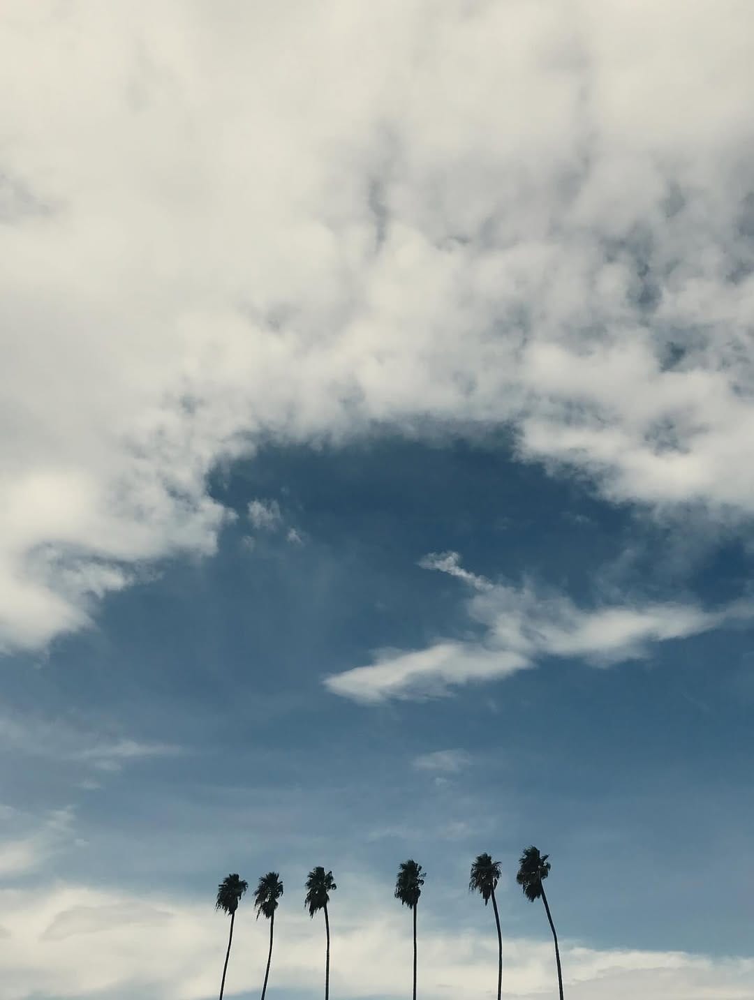 Post 9 by Devin O’Brien on Instagram (image)