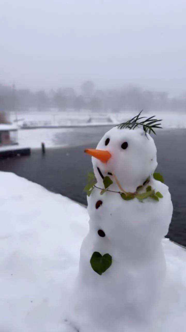 Post 4 by SHOOHS on Instagram (video)
