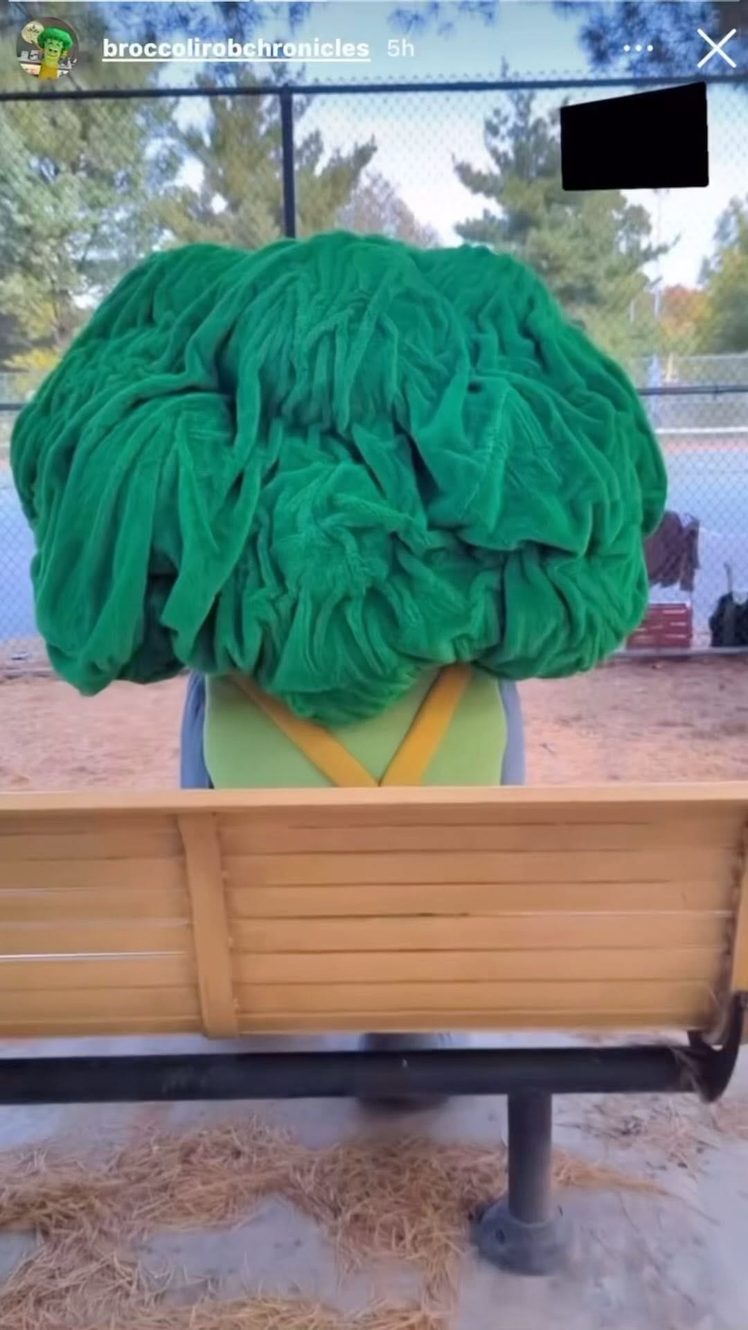 Post 2 by Twisted Harlem on Instagram (video)