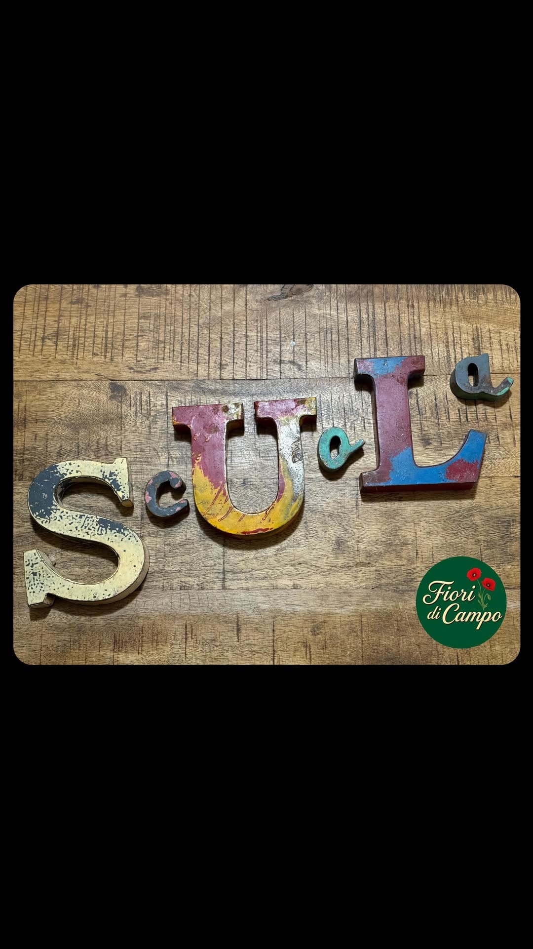 Post 9 by Fiori di Campo on Instagram (video)