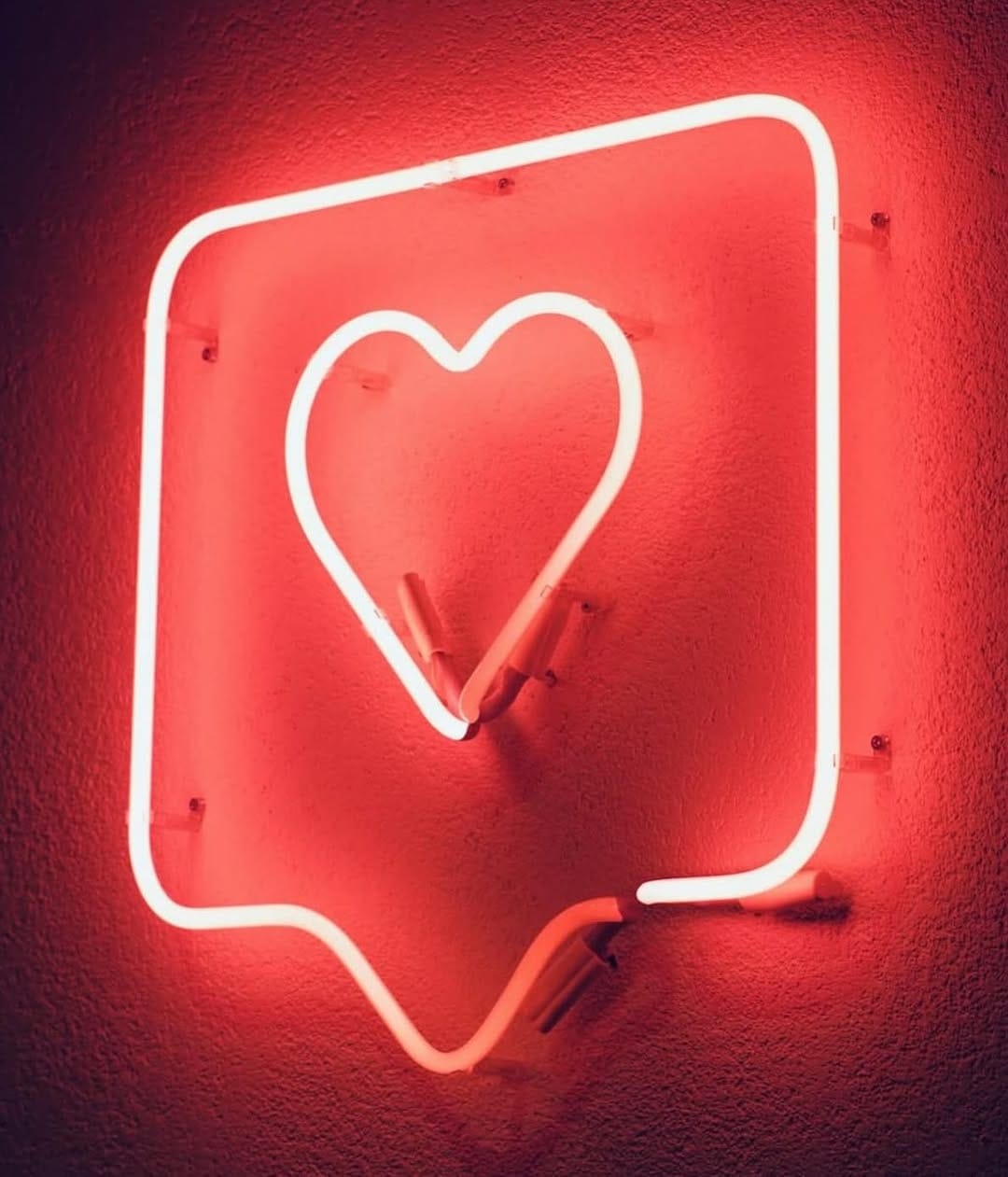 Post 6 by NEON Clothing on Instagram (image)