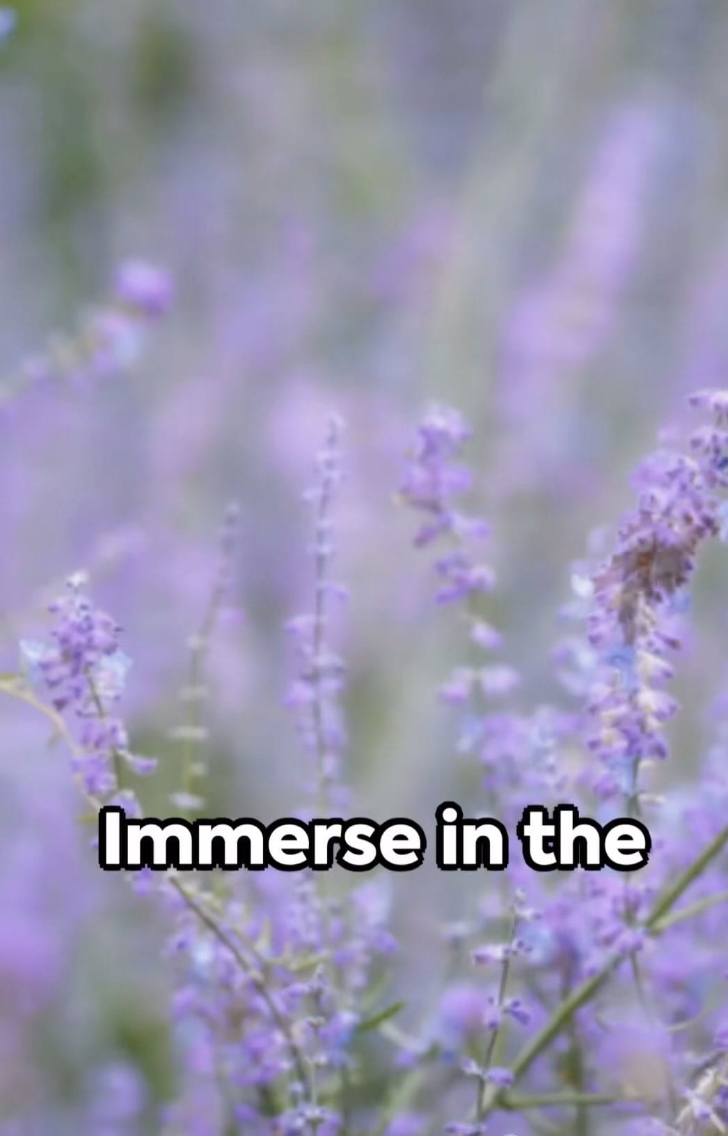 Post 7 by Natures Remedy🎋 on Instagram (video)