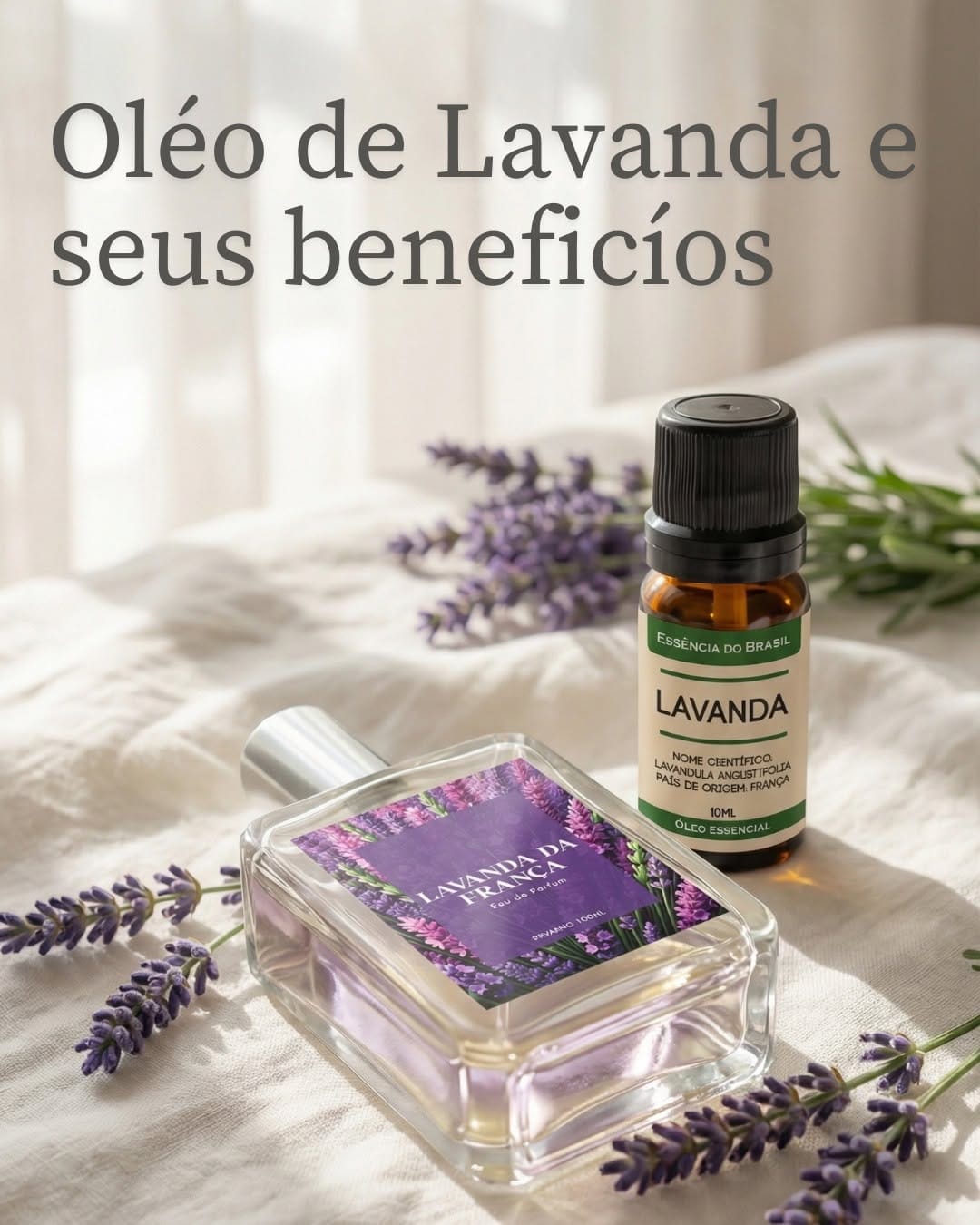 Post 4 by Essência do Brasil on Instagram (image)