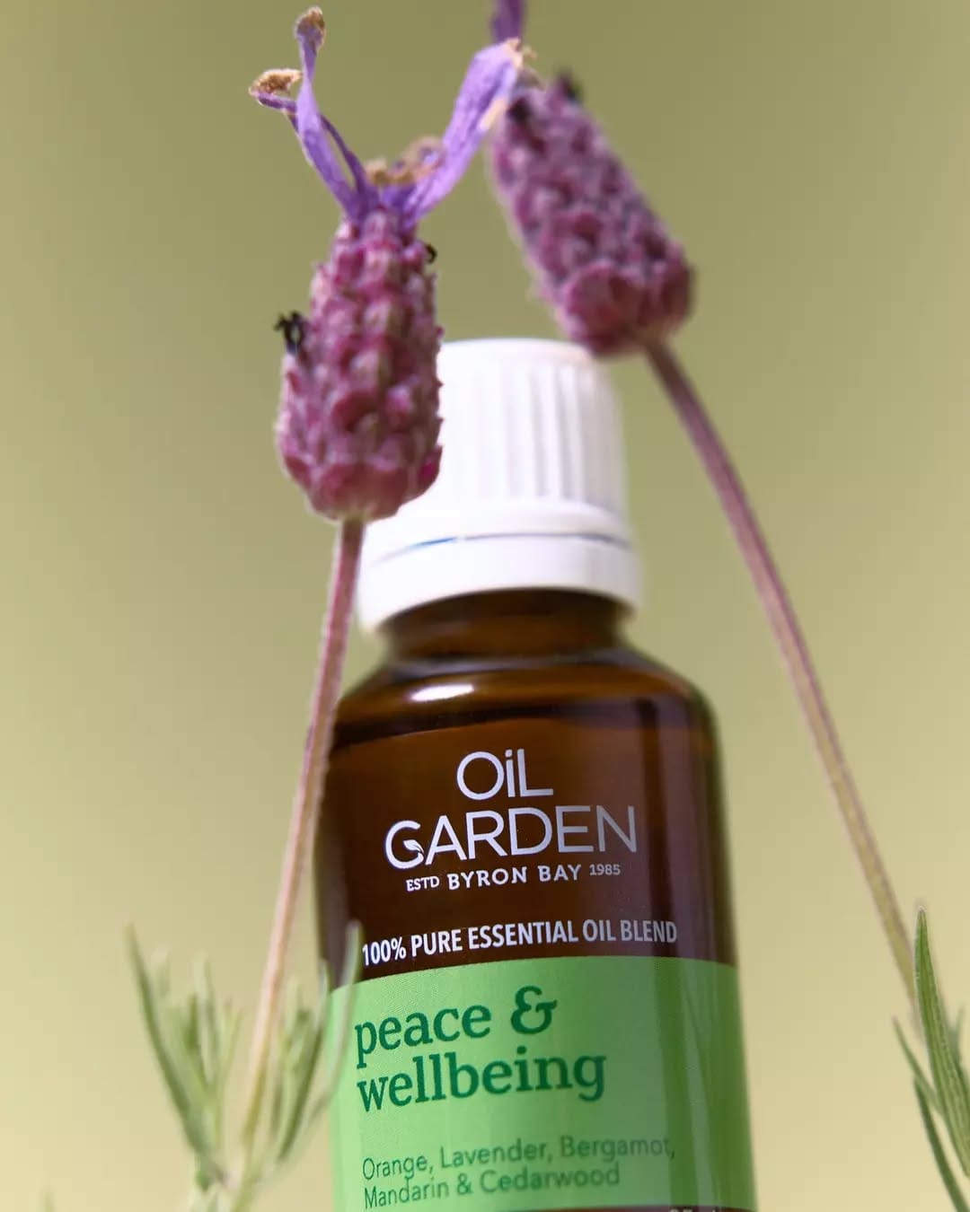 Post 10 by Oil Garden on Instagram (image)