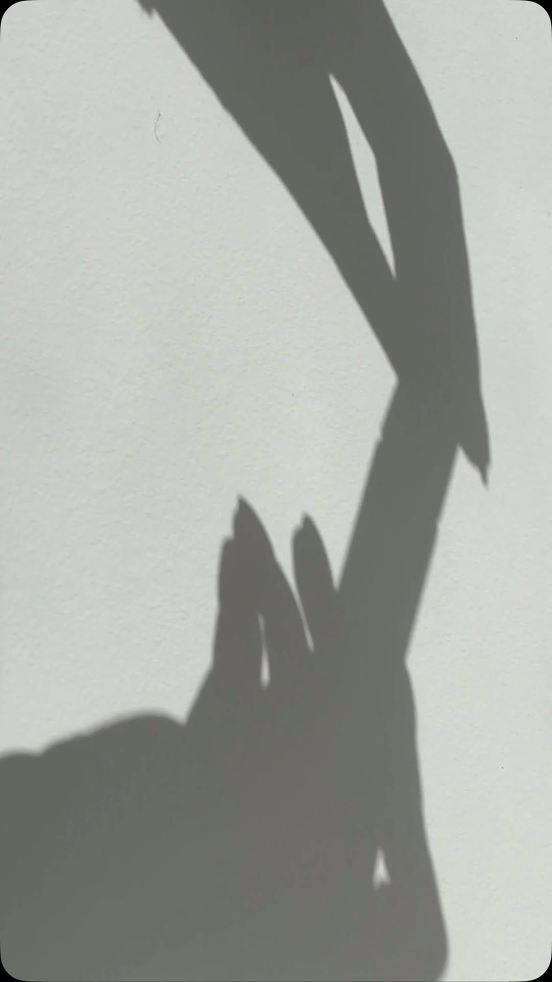 Post 4 by CARDEA AUSET : skin + body care on Instagram (video)