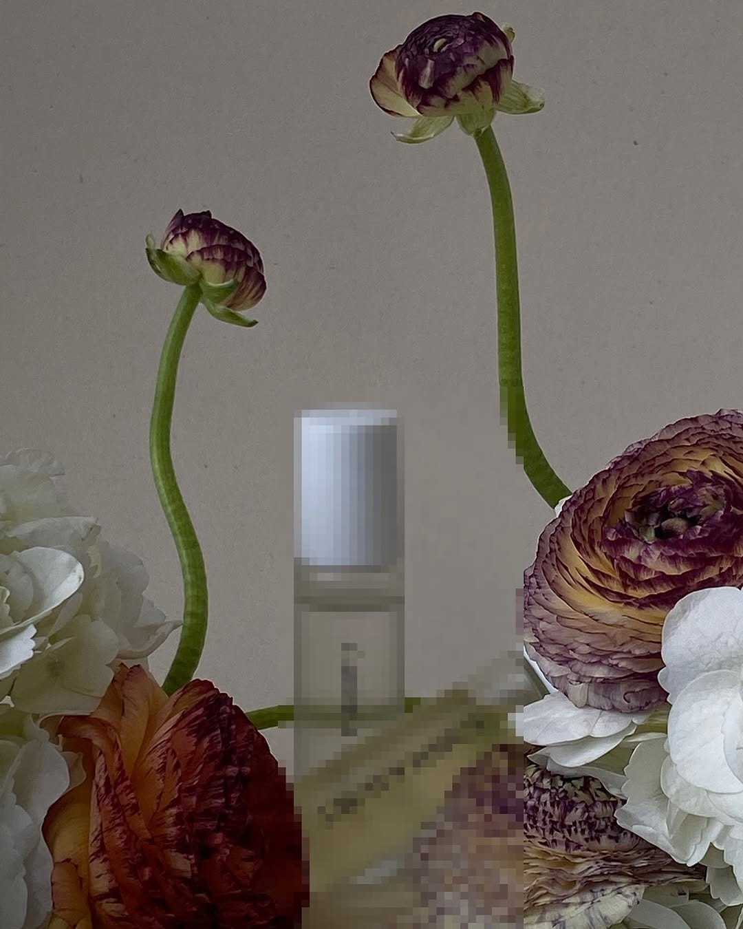 Post 9 by CARDEA AUSET : skin + body care on Instagram (carousel)
