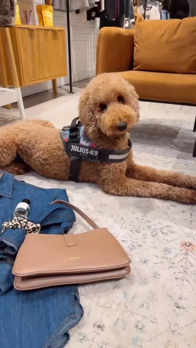 Post 7 by Jolie Folie Boutique | Canadian Fashion + Accessories on Instagram (video)