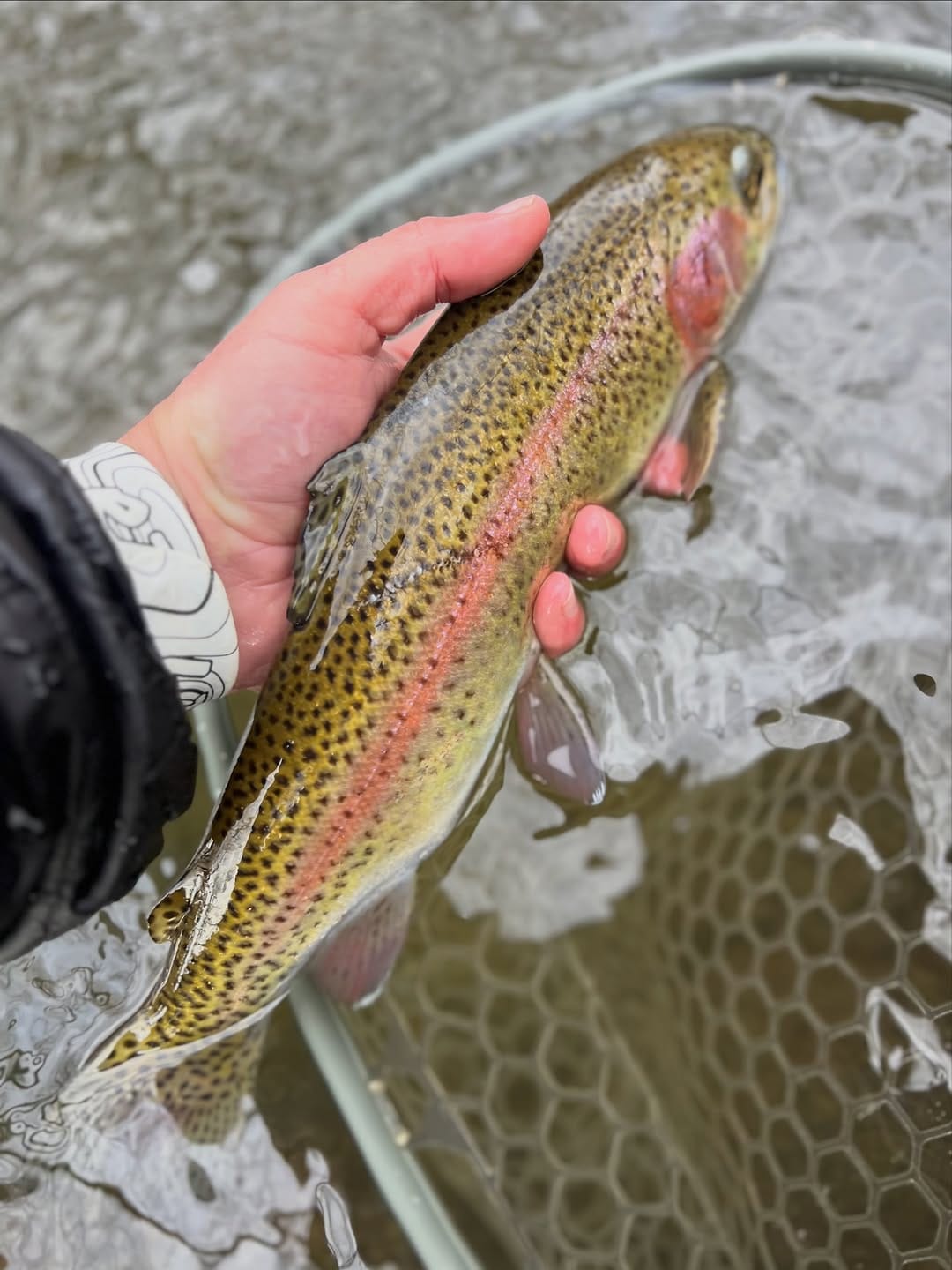 Post 4 by CREEKSIDE FLY & TACKLE on Instagram (image)