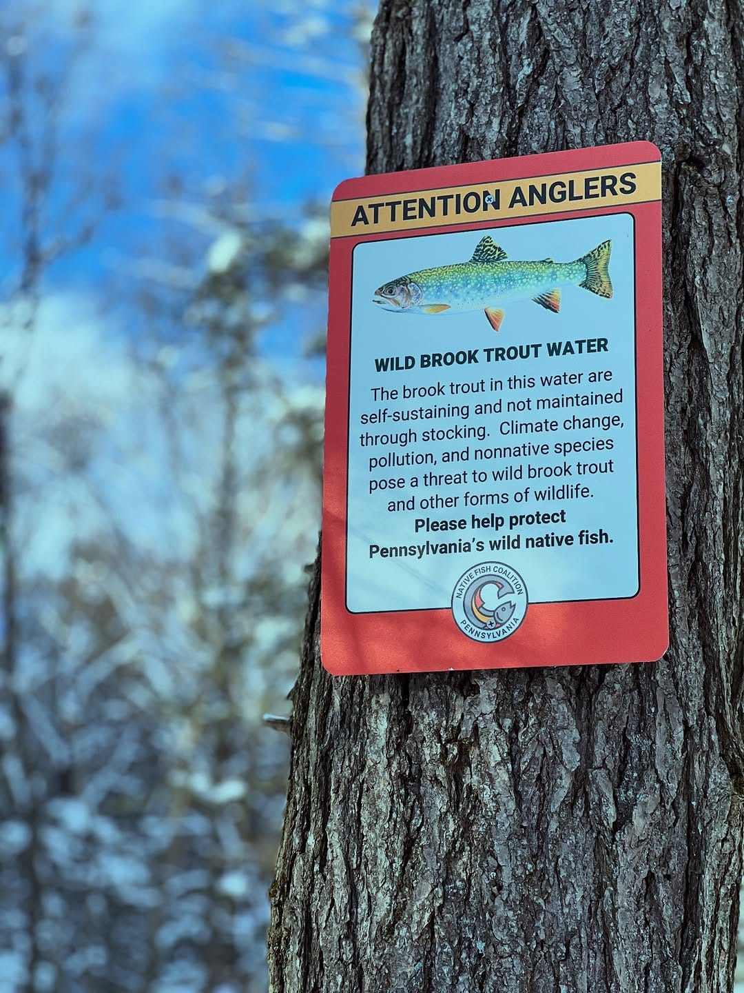 Post 1 by CREEKSIDE FLY & TACKLE on Instagram (carousel)