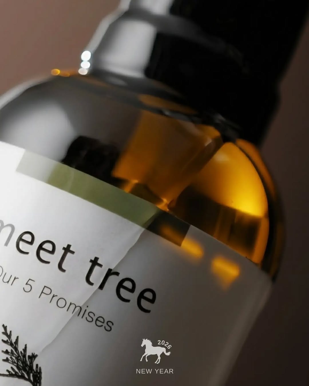 Post 4 by meet tree on Instagram (image)