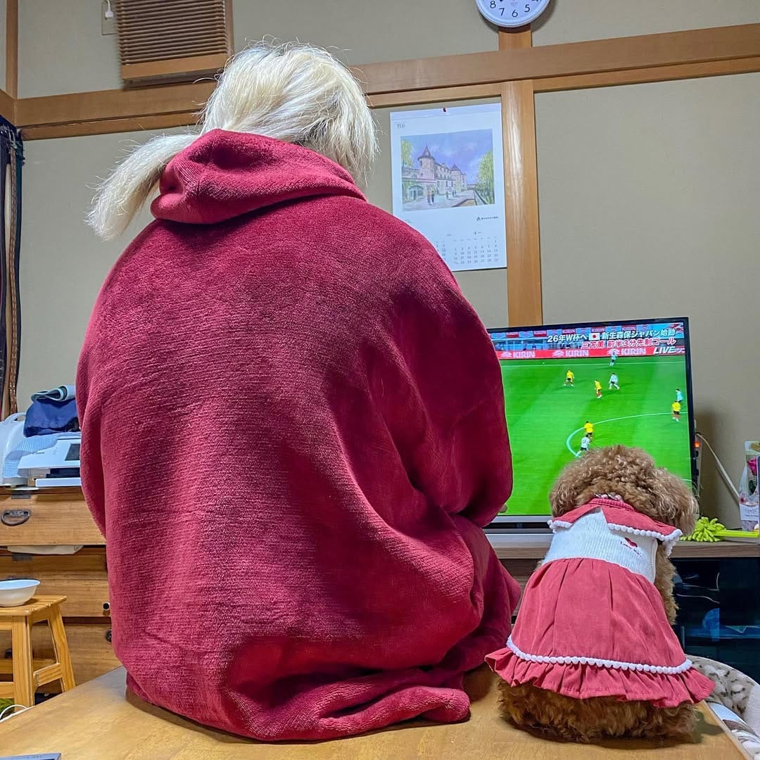 Post 9 by ＭＯＭＯ on Instagram (image)