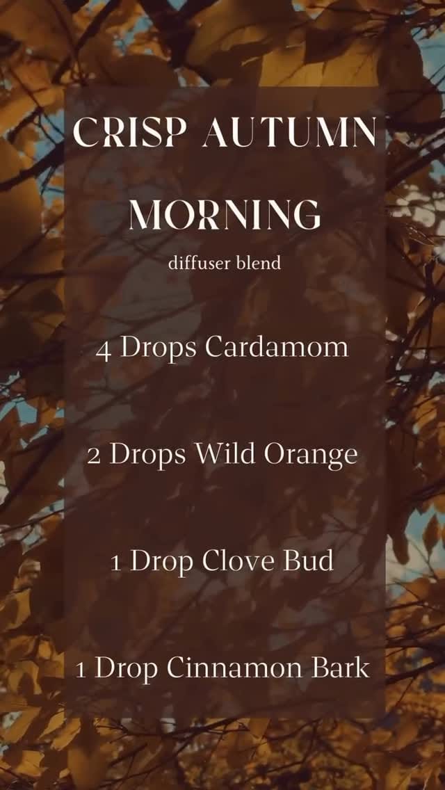 Post 3 by Ecobioholistic on Instagram (video)
