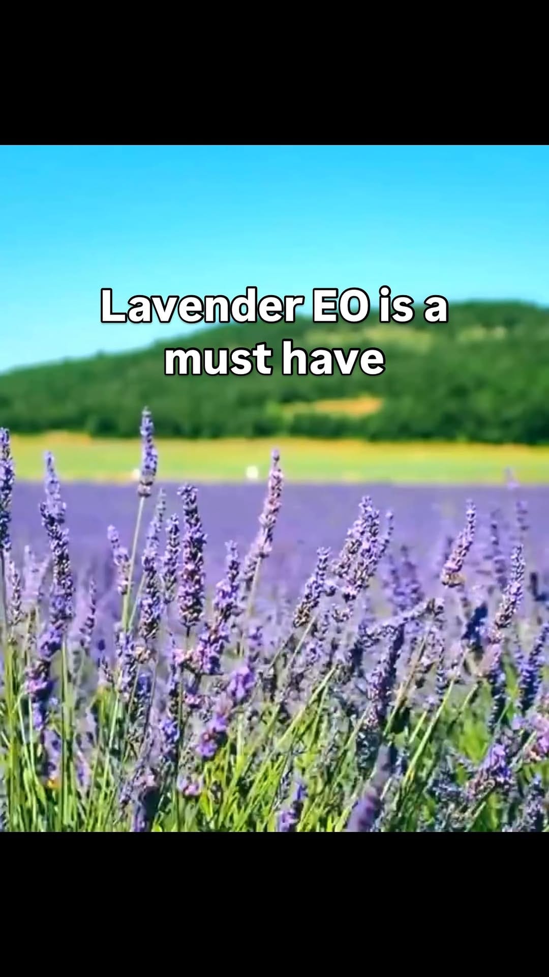 Post 4 by Ecobioholistic on Instagram (video)