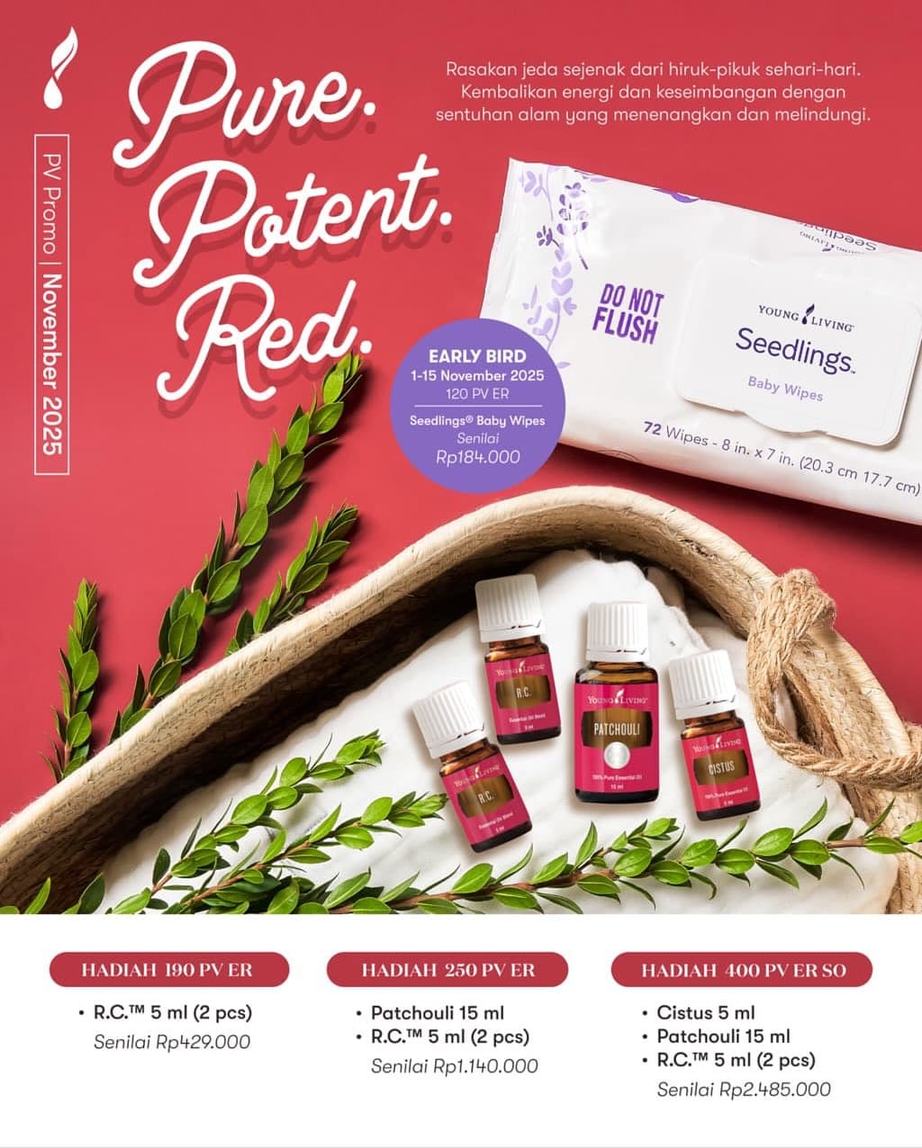 Post 1 by 🍃Young Living essential oil🍃 on Instagram (carousel)