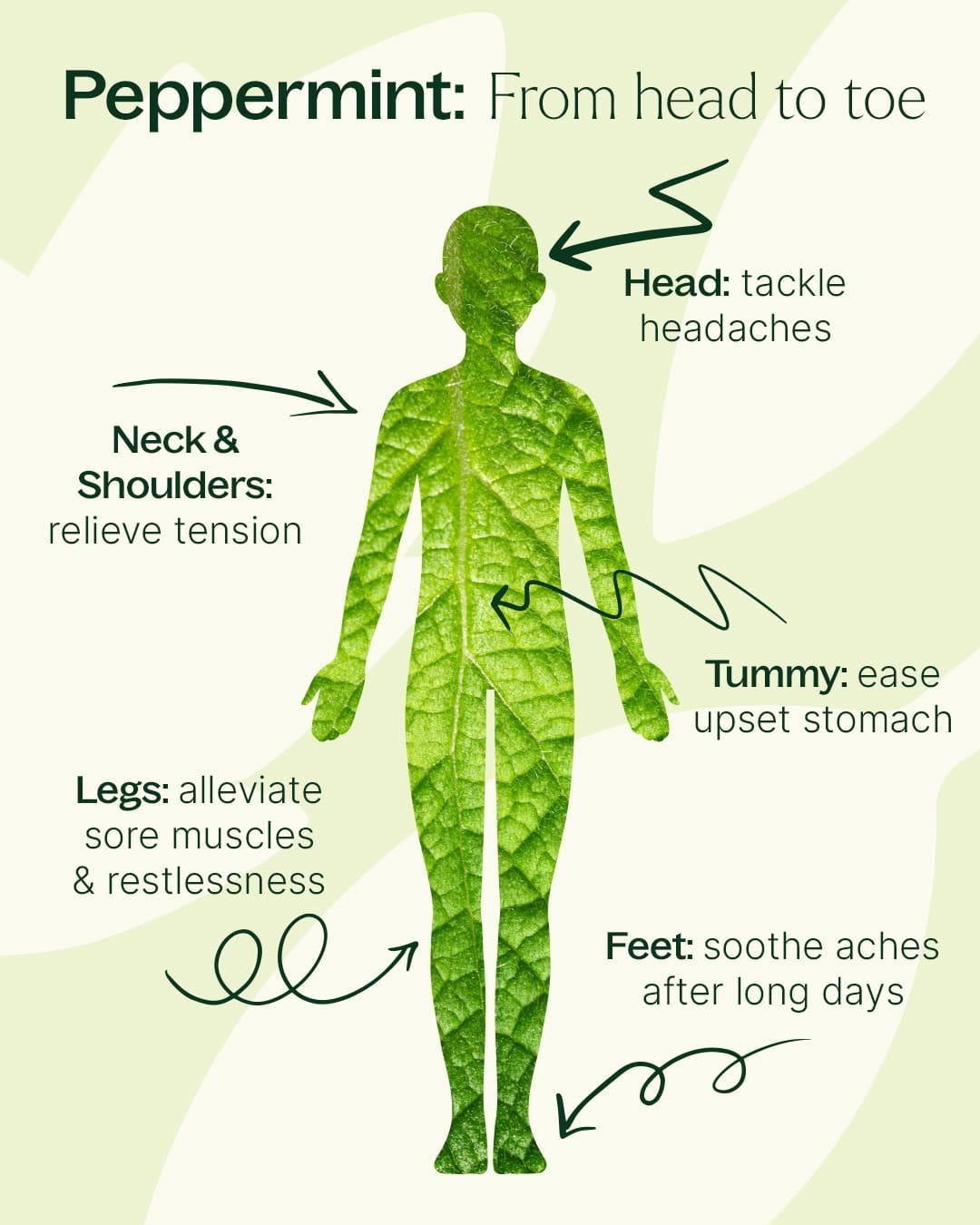 Post 6 by Plant Therapy on Instagram (image)