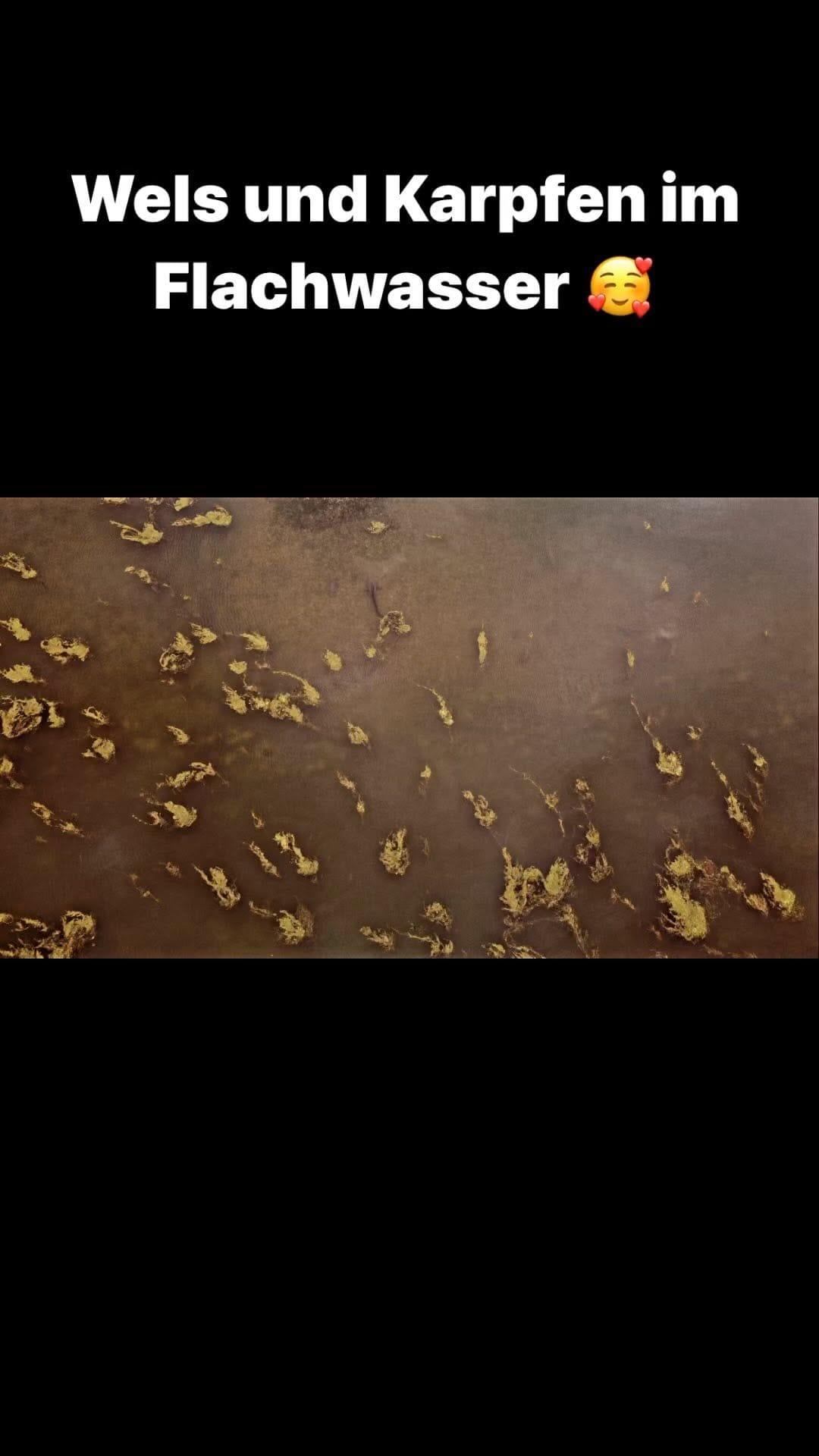 Post 10 by Blinker Jörg Fishing Team on Instagram (video)