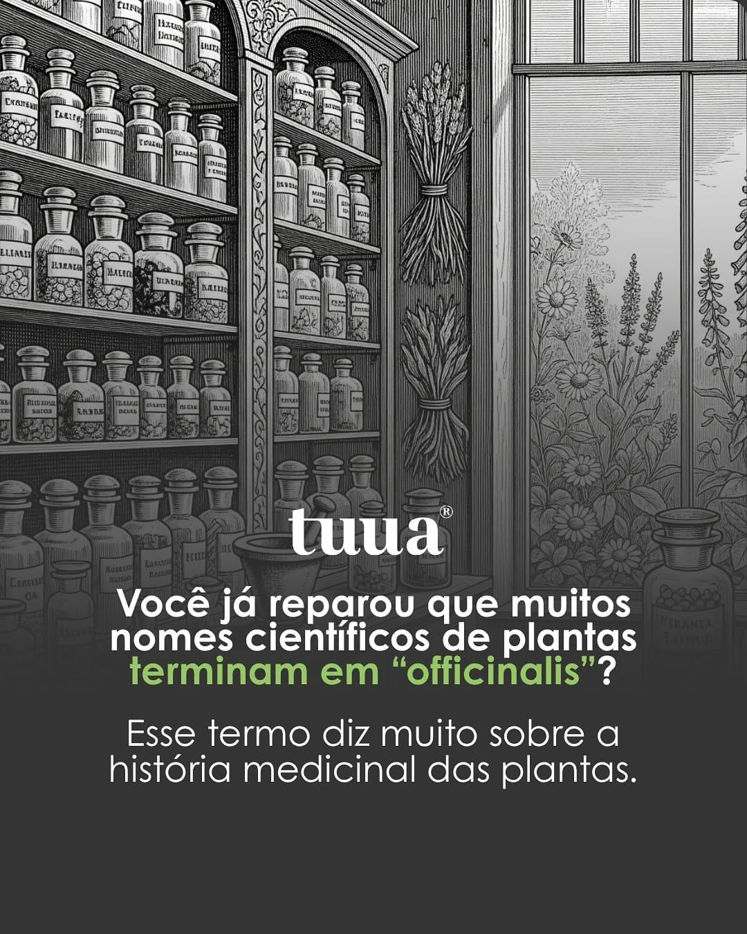Post 8 by tuua® on Instagram (carousel)