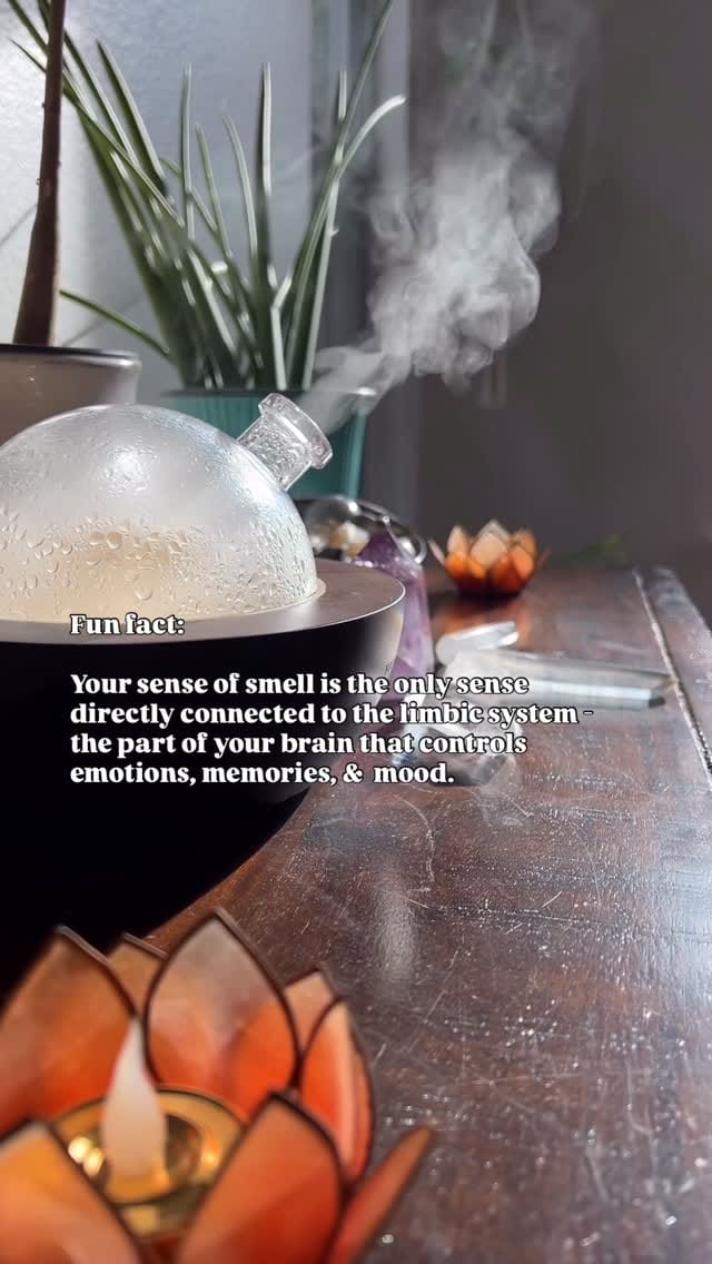 Post 1 by Kelowna Giuliano 🌿 Essential Oil Education on Instagram (video)