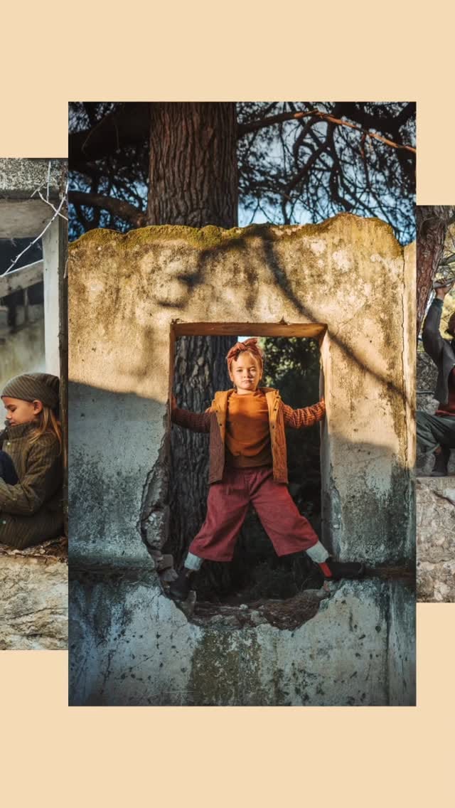 Post 9 by Stern Wald Wiese Natur on Instagram (video)