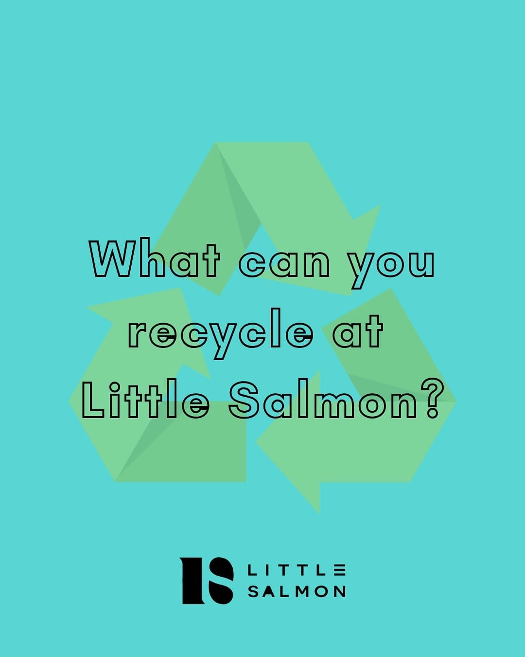 Post 10 by LITTLE SALMON on Instagram (carousel)