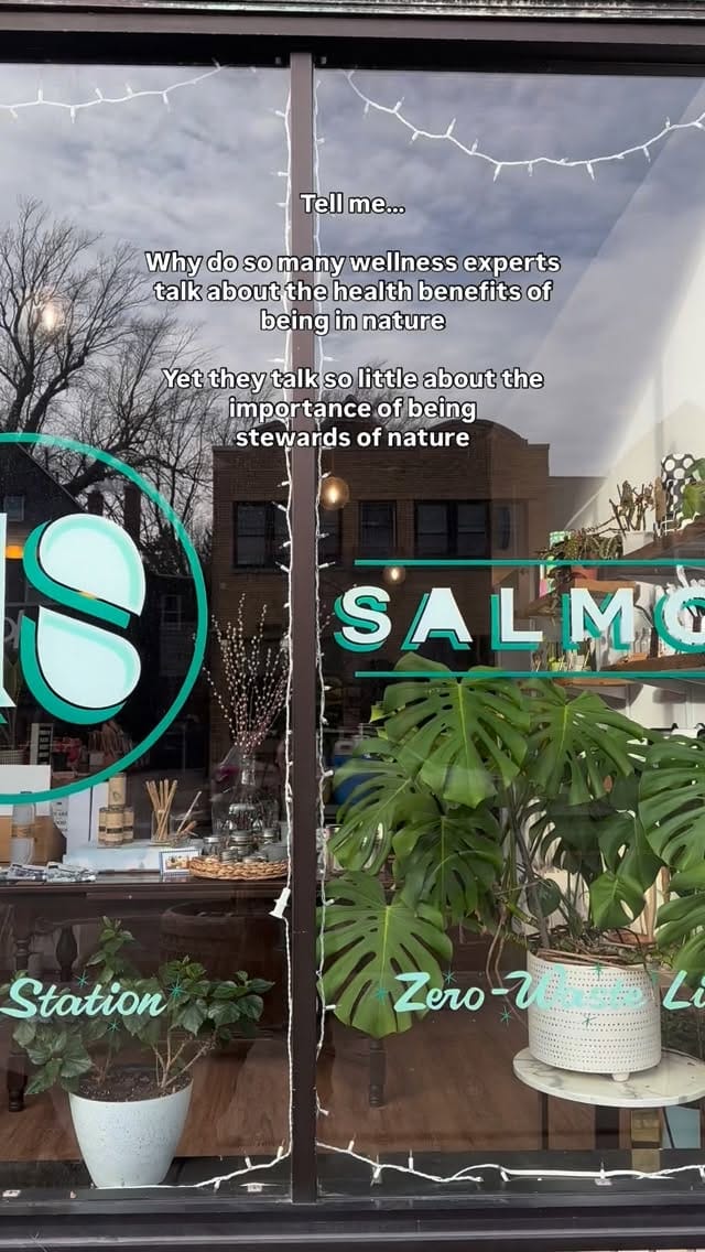 Post 3 by LITTLE SALMON on Instagram (video)